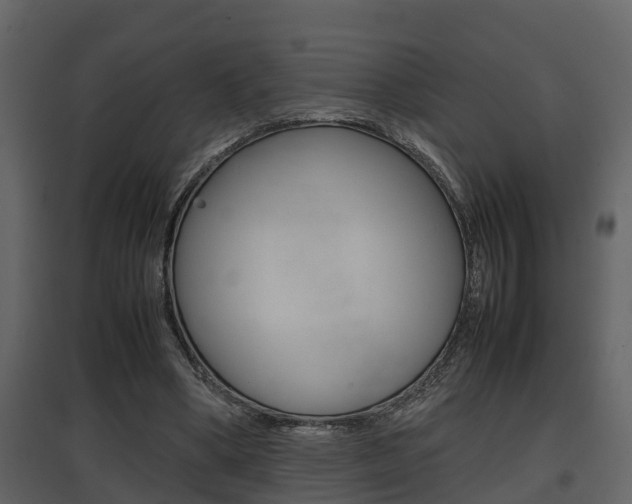 X0000097840394200803140839