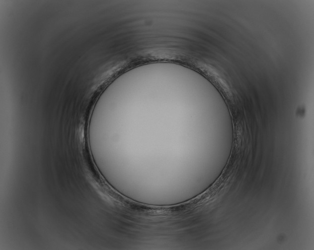 X0000097840398200803140839