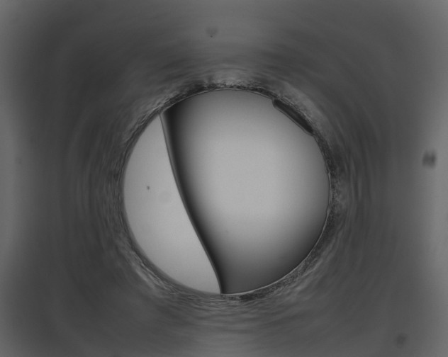 X0000097840401200803140839
