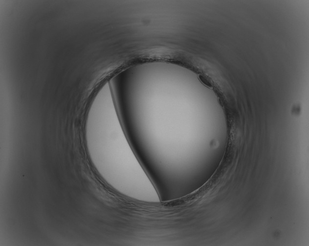 X0000097840403200803140839