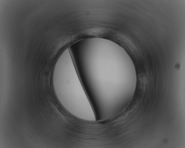 X0000097840404200803140839
