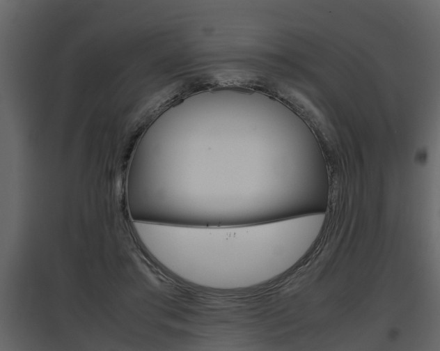 X0000097840405200803140839