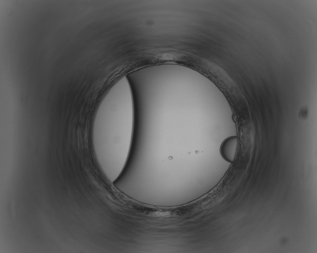 X0000097840406200803140839