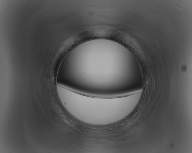 X0000097840407200803140839