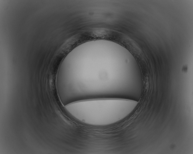 X0000097840408200803140839