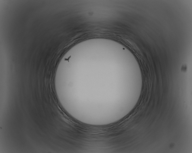 X0000097840409200803140839