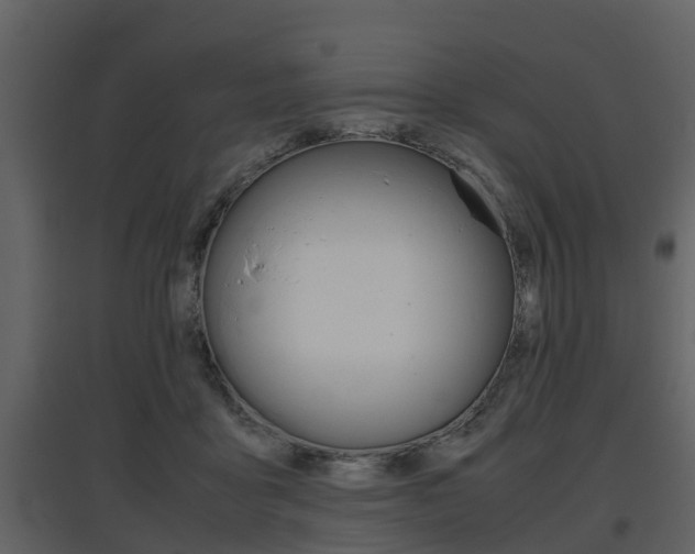 X0000097840411200803140839