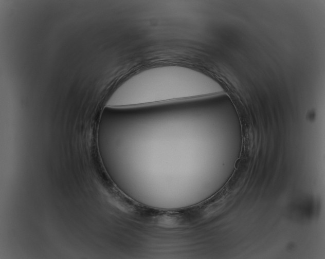 X0000097840412200803140839