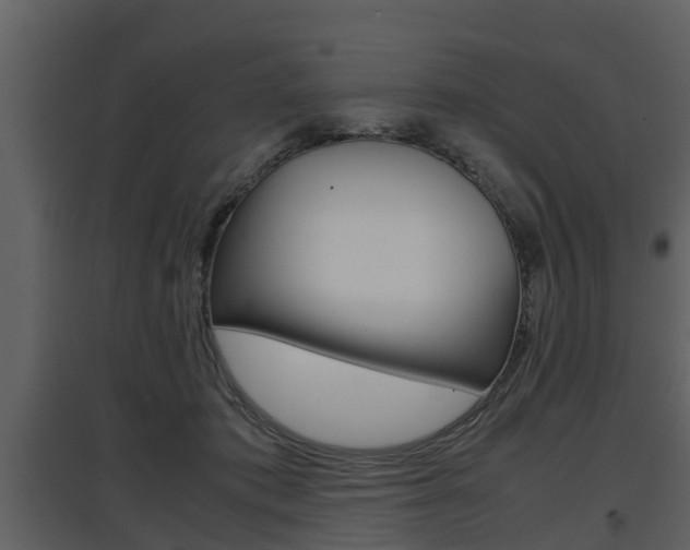 X0000097840413200803140839