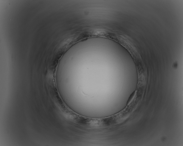 X0000097840415200803140839