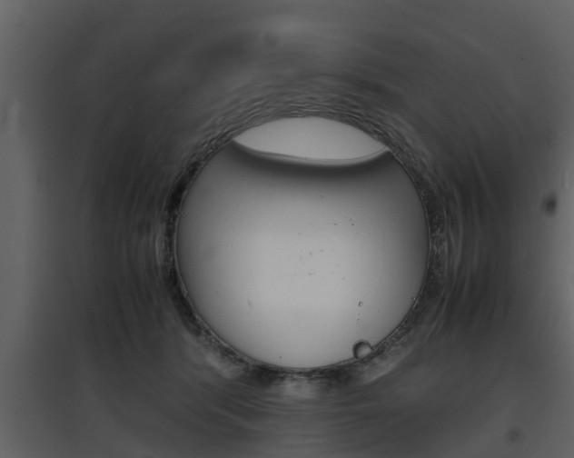 X0000097840416200803140839