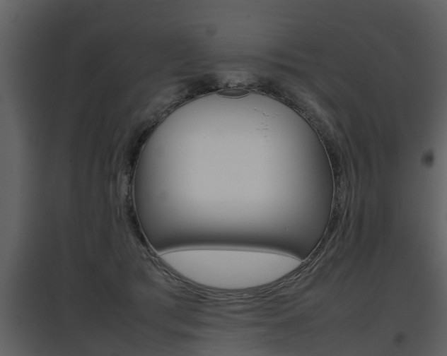 X0000097840417200803140839