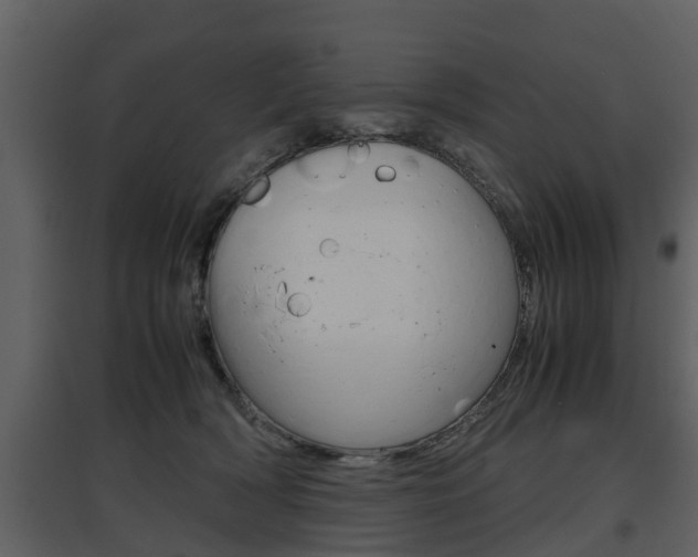 X0000097840418200803140839