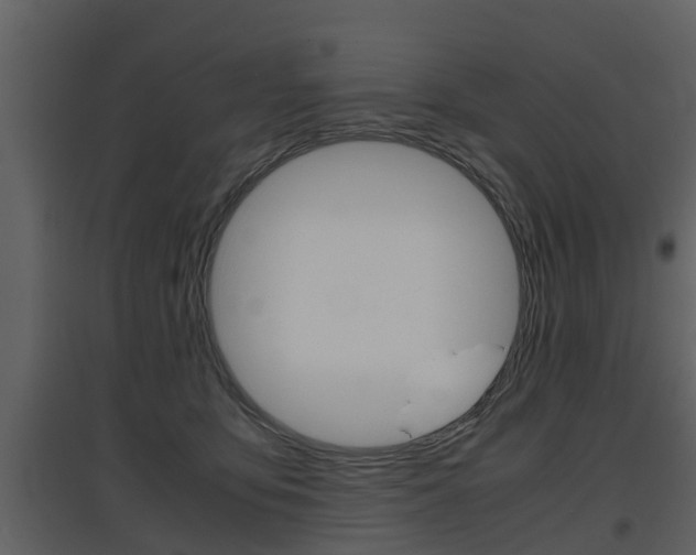 X0000097840419200803140838