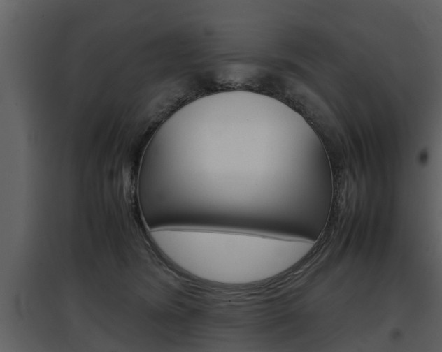 X0000097840420200803140838