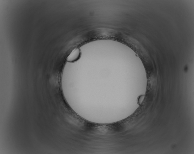 X0000097840423200803140838