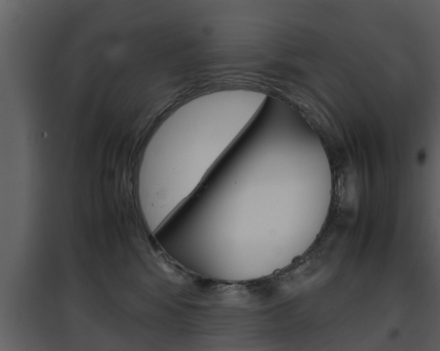 X0000097840424200803140838