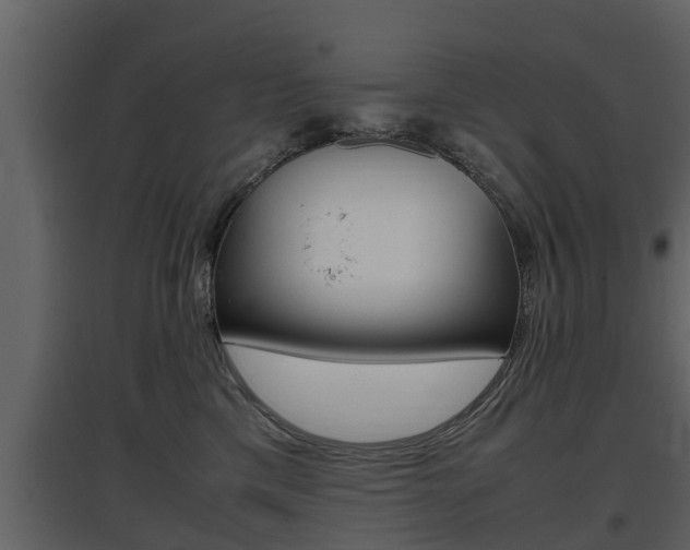 X0000097840425200803140838