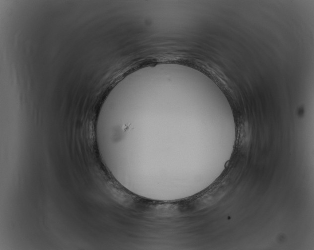 X0000097840426200803140838