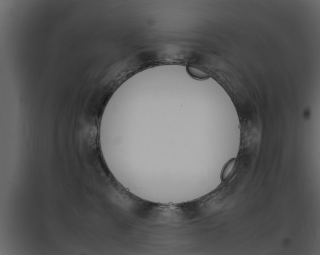 X0000097840427200803140838