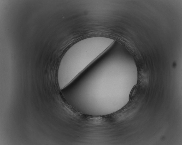 X0000097840428200803140838