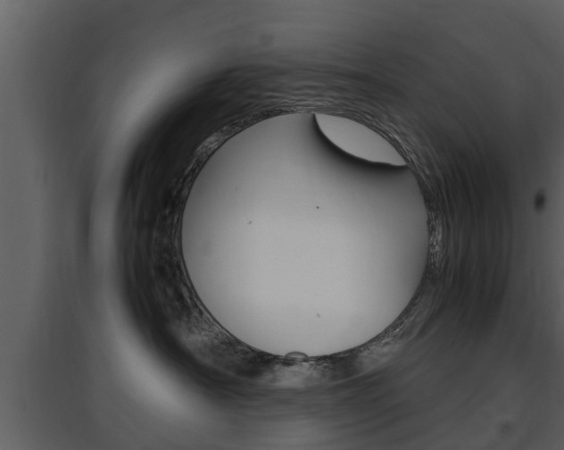 X0000097840430200803140838