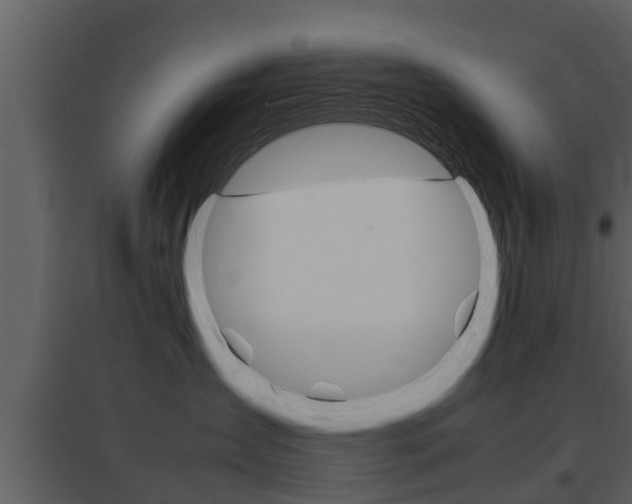 X0000097840431200803140838