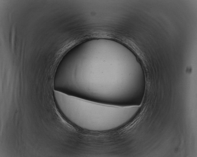 X0000097840433200803140838