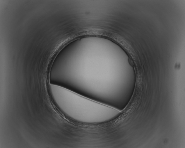 X0000097840434200803140838