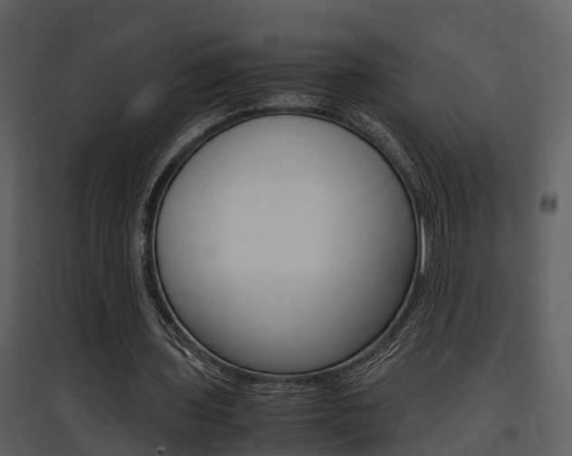 X0000097840435200803140838