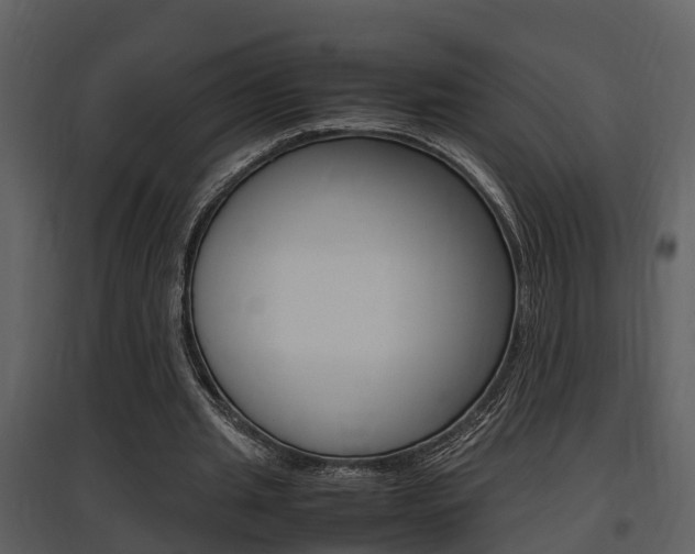 X0000097840437200803140838