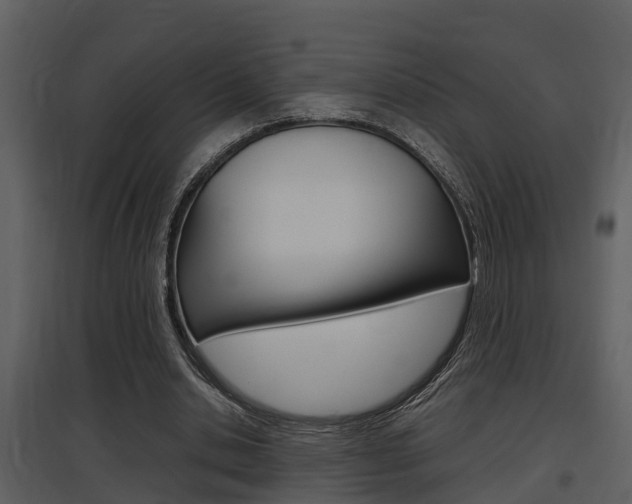 X0000097840438200803140838