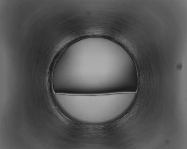 X0000097840439200803140838