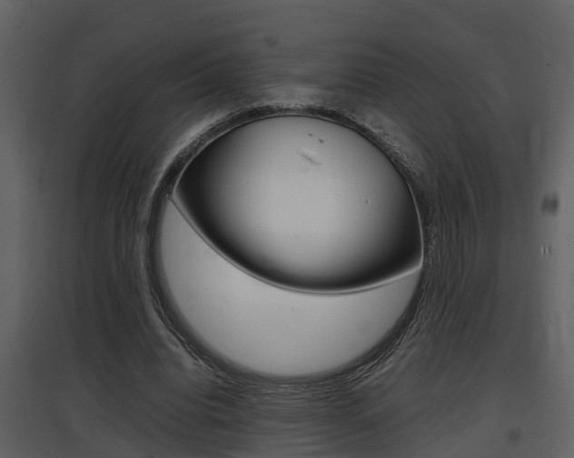 X0000097840440200803140838