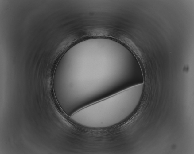 X0000097840441200803140838