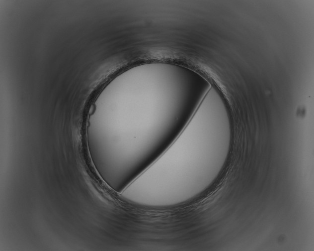 X0000097840443200803140838