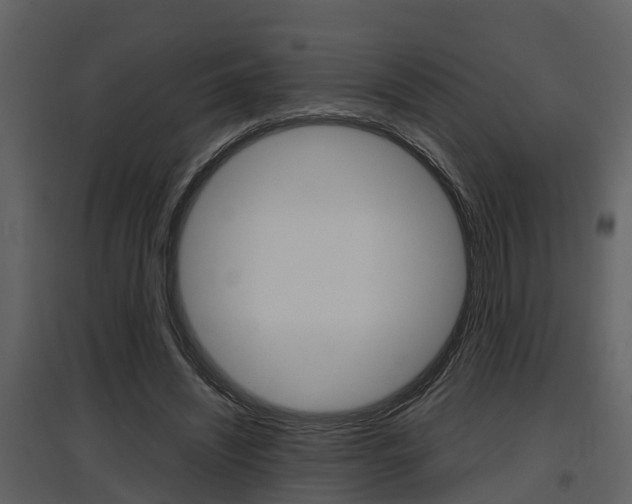 X0000097840444200803140838