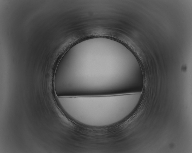 X0000097840445200803140838