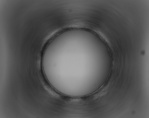 X0000097840446200803140838