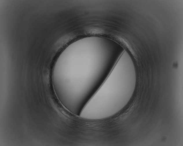 X0000097840447200803140838