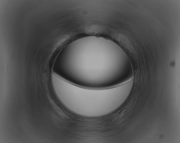 X0000097840448200803140838
