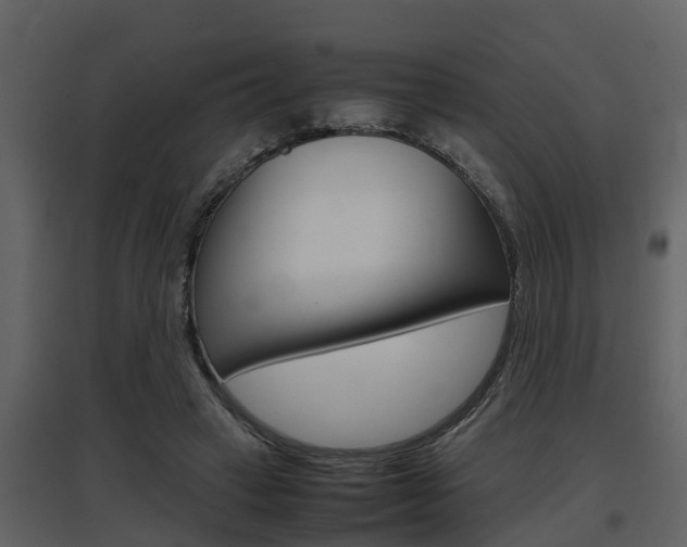 X0000097840449200803140838