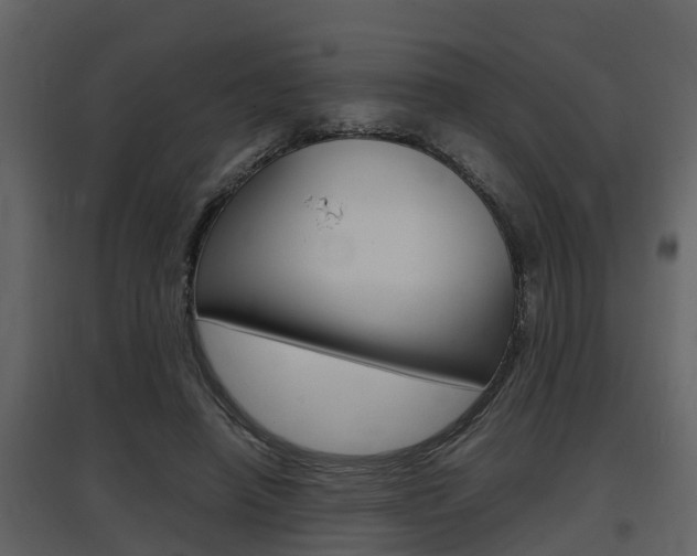 X0000097840450200803140838