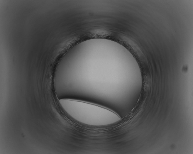 X0000097840451200803140838