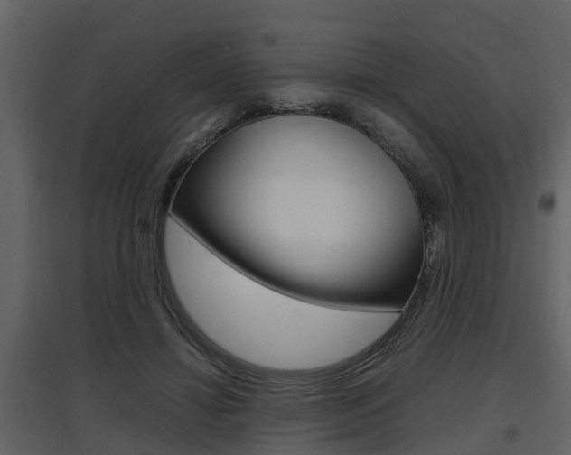 X0000097840452200803140838