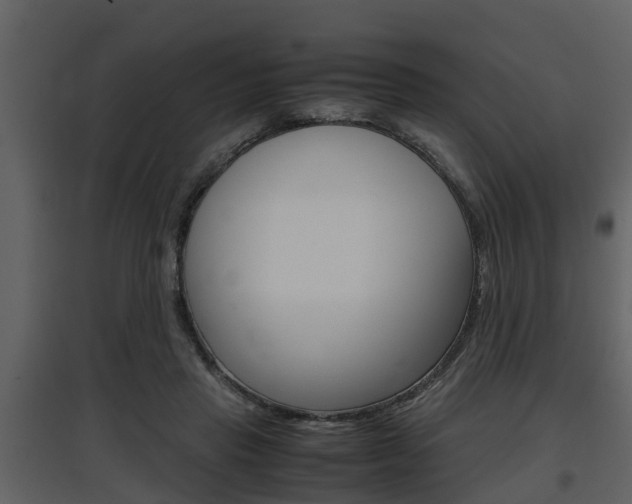 X0000097840453200803140838