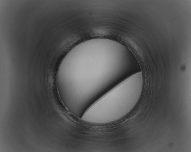 X0000097840455200803140838