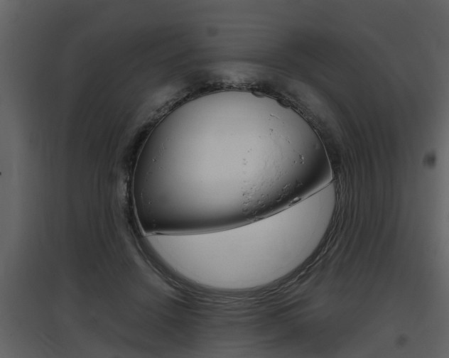 X0000097840456200803140838