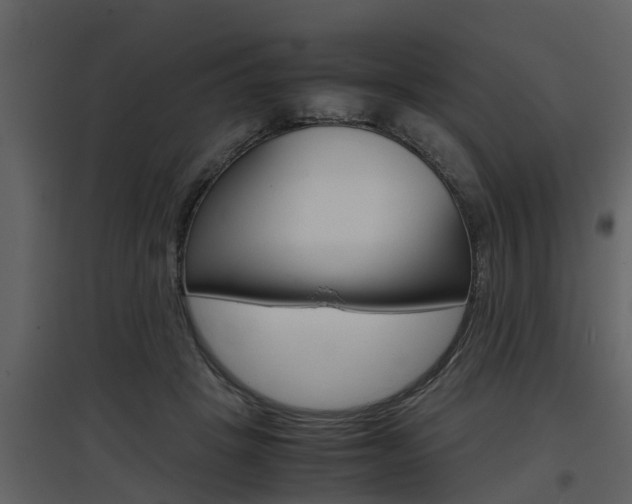 X0000097840457200803140838