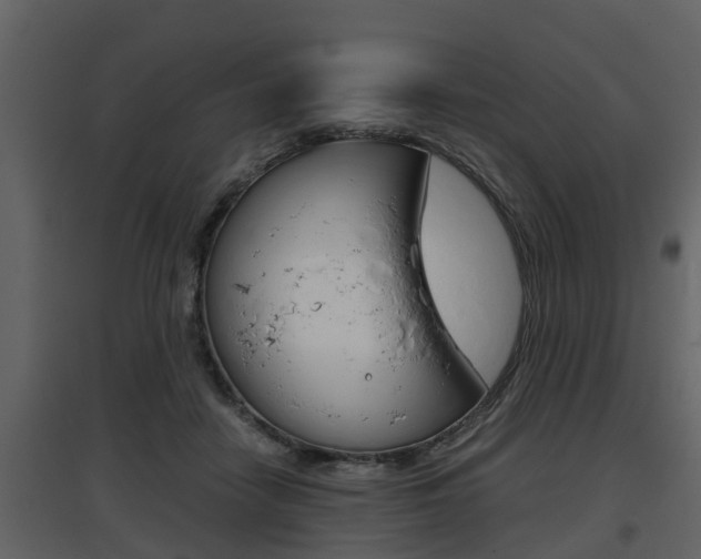 X0000097840458200803140838